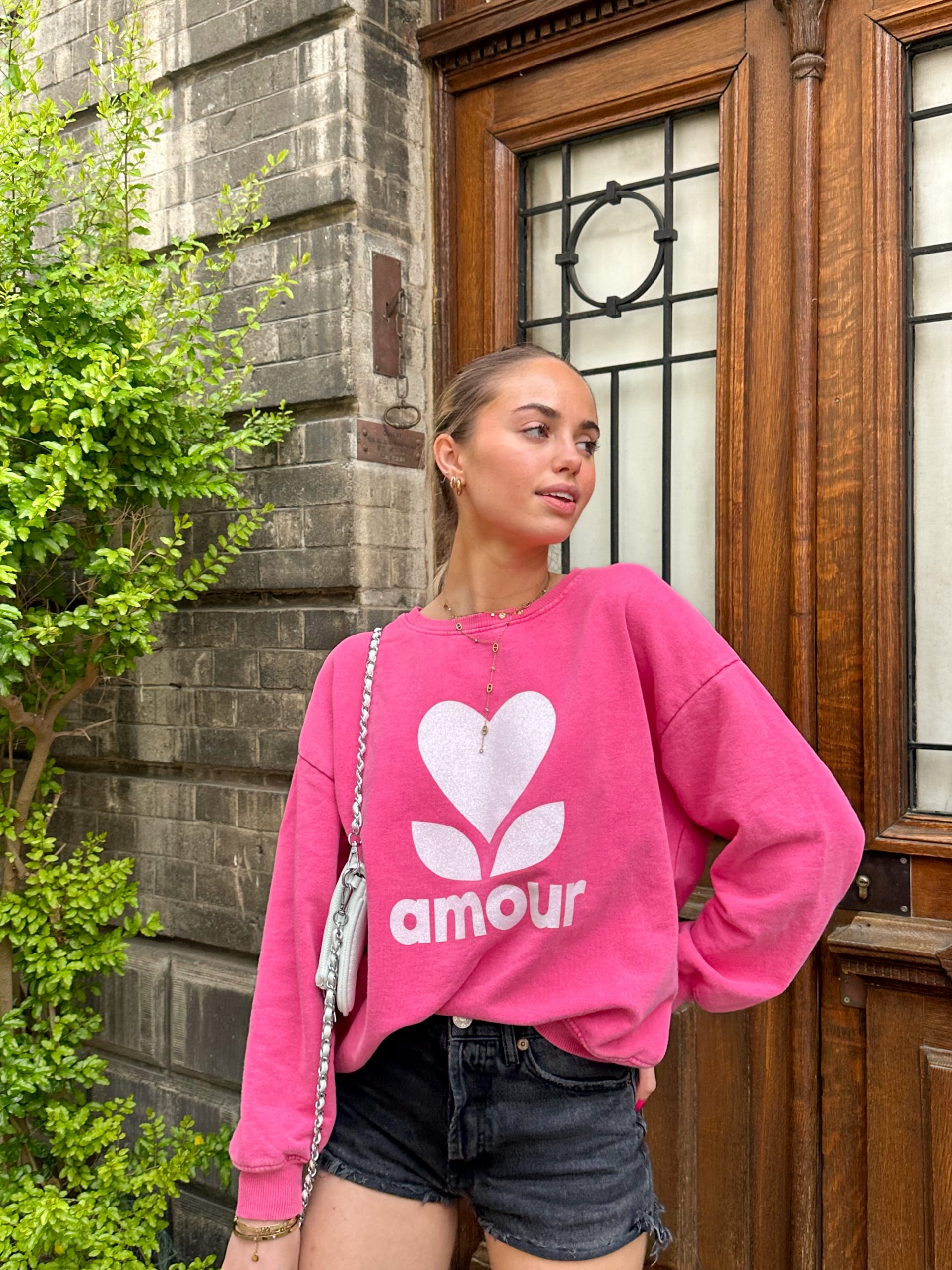 Pull Amour Rose